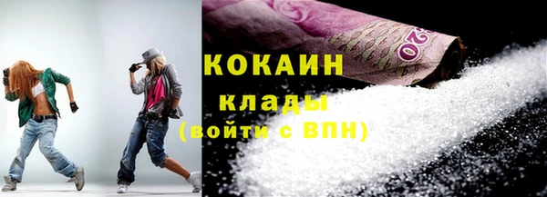 твердый Пересвет