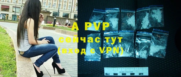 винт Пестово
