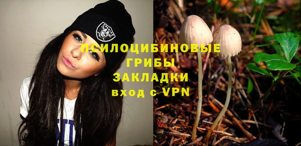 спиды Переславль-Залесский