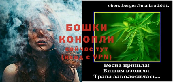твердый Пересвет
