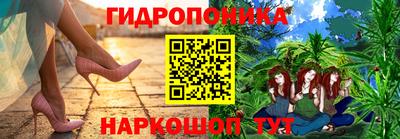 кокс Гатчина
