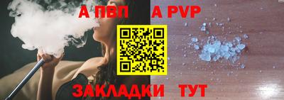 кокс Гатчина