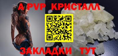 кокс Гатчина