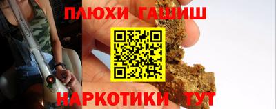 кокс Гатчина