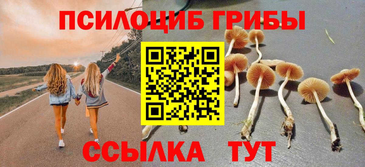 Псилоцибиновые грибы мицелий Партизанск