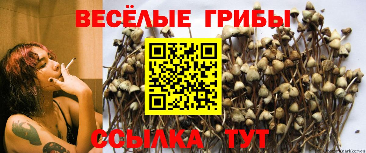 Псилоцибиновые грибы Cubensis  Псилоцибиновые грибы Psilocybe  Вход с VPN  даркнет сайт  Партизанск 